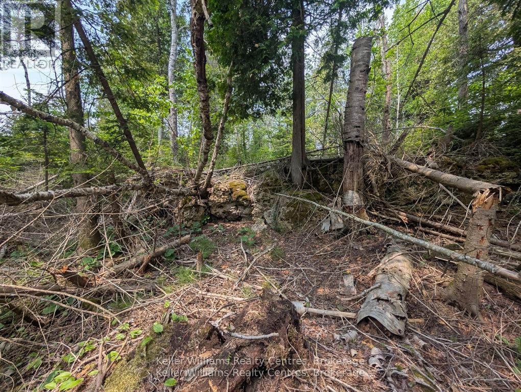 Pcl 2-3 Pt Lt 2 Walter Charman Drive, Northern Bruce Peninsula, Ontario  N0H 1W0 - Photo 7 - X12891744