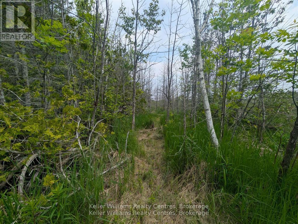 Pcl 2-3 Pt Lt 2 Walter Charman Drive, Northern Bruce Peninsula, Ontario  N0H 1W0 - Photo 9 - X12891744