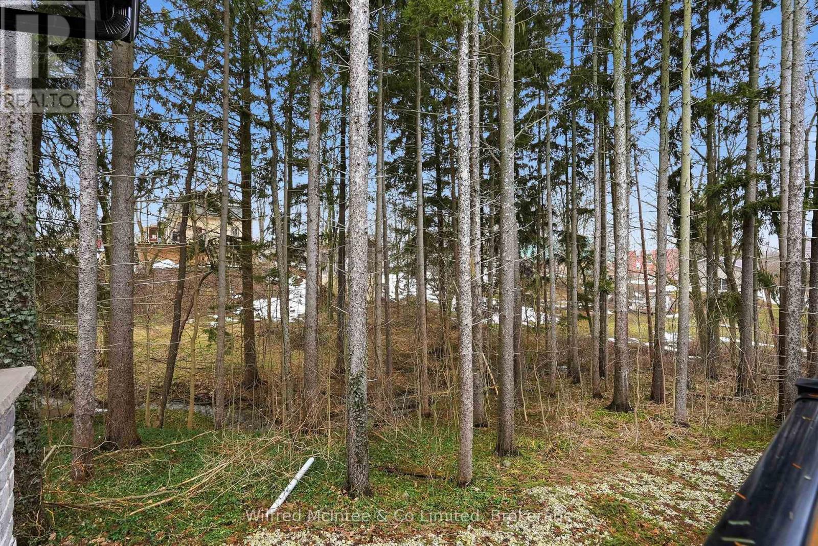 230 George Street S, Arran-Elderslie, Ontario  N0G 2N0 - Photo 47 - X12894314