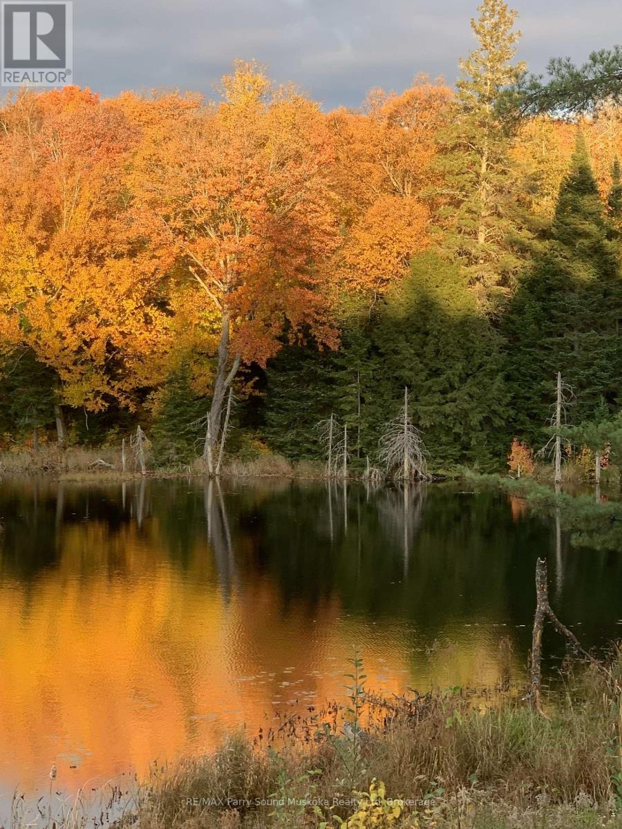 123 520 Highway, Whitestone, Ontario  P0A 1G0 - Photo 12 - X12894564