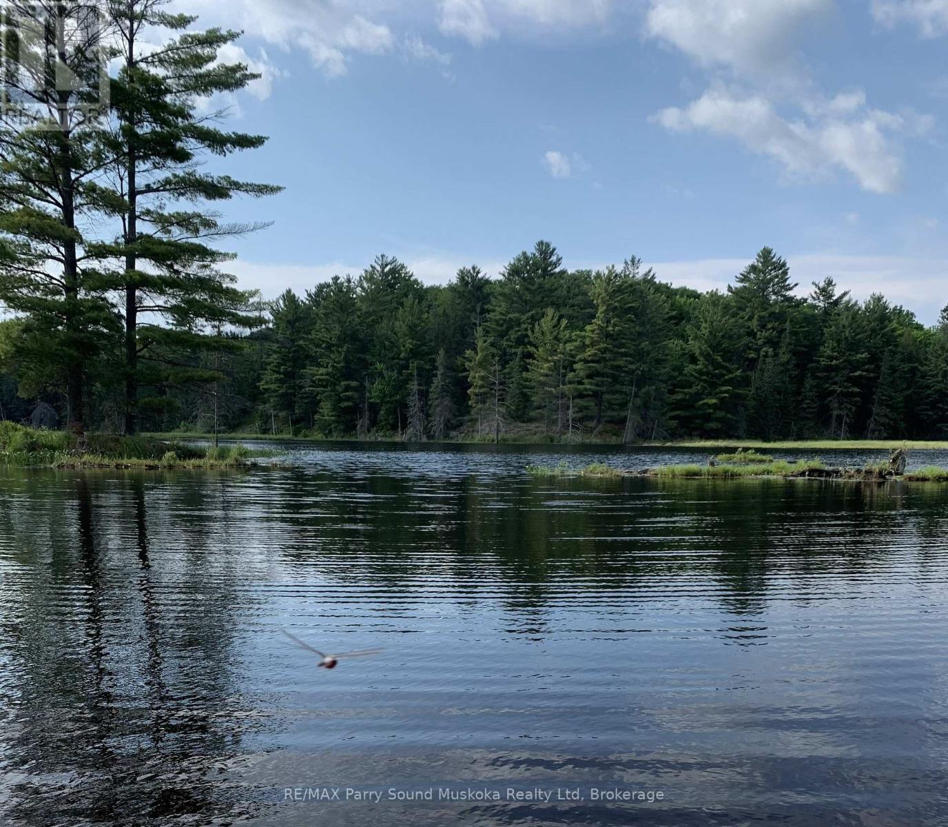 123 520 Highway, Whitestone, Ontario  P0A 1G0 - Photo 13 - X12894564