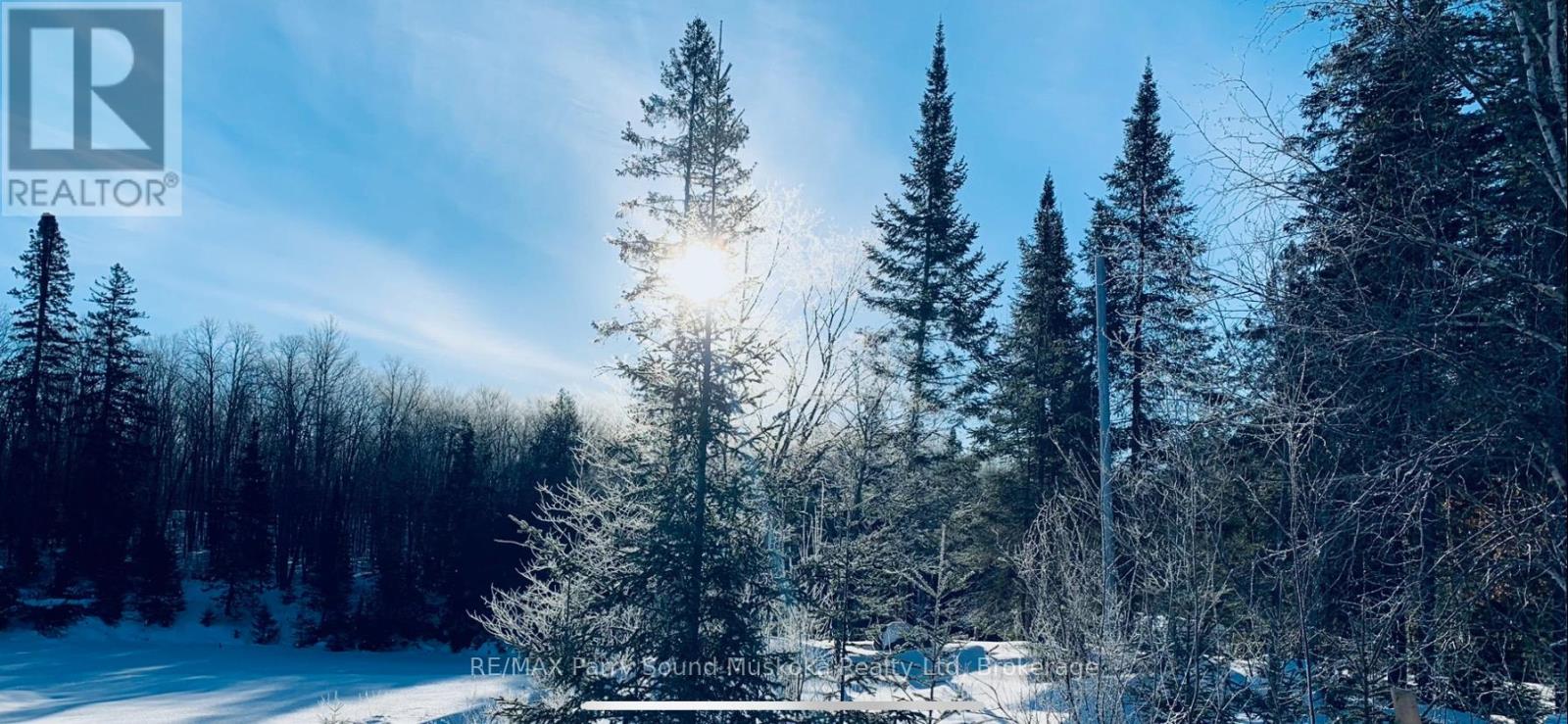 123 520 Highway, Whitestone, Ontario  P0A 1G0 - Photo 6 - X12894564