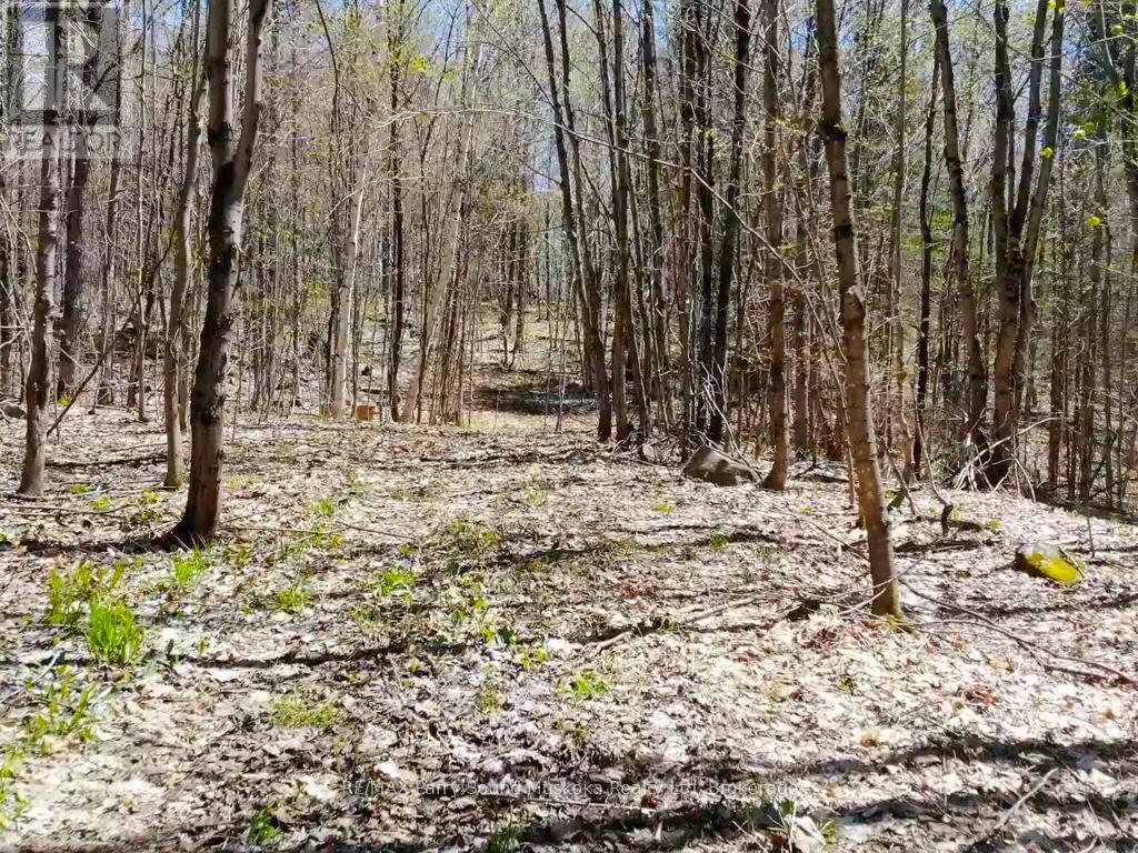 123 520 Highway, Whitestone, Ontario  P0A 1G0 - Photo 7 - X12894564