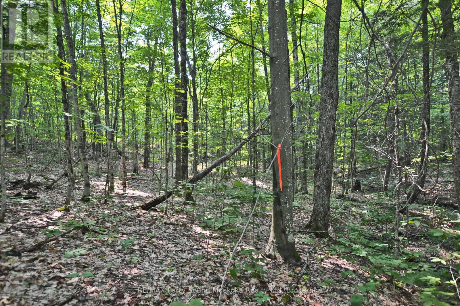 PART 1 - 0 LYNDSEY LANE, McKellar, Ontario