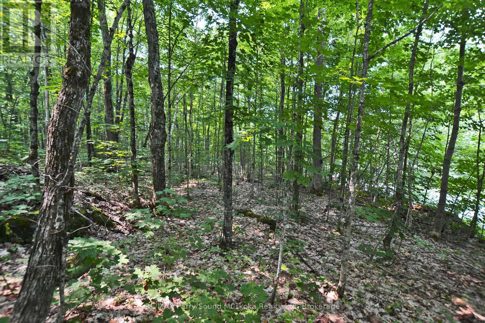 Part 1 - 0 Lyndsey Lane, Mckellar, Ontario  P2A 0B5 - Photo 13 - X12895056