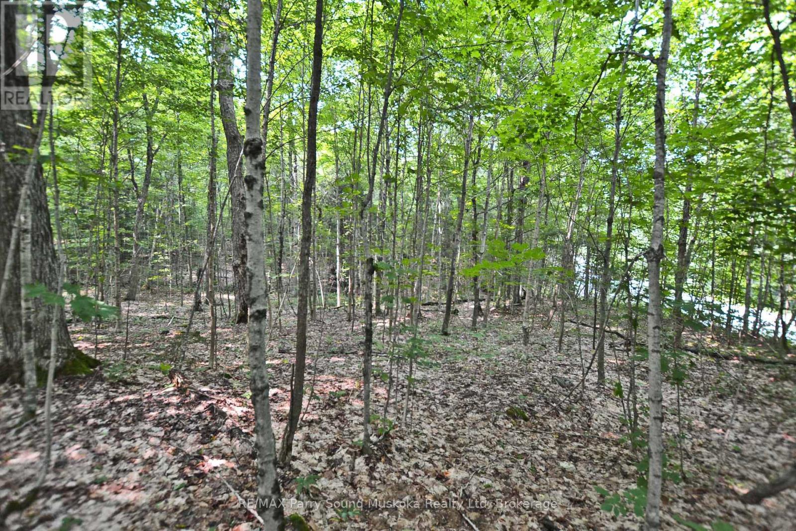 Part 1 - 0 Lyndsey Lane, Mckellar, Ontario  P2A 0B5 - Photo 20 - X12895056