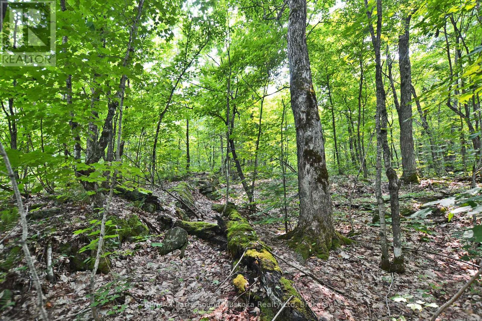 Part 2 - 0 Lyndsey Lane, Mckellar, Ontario  P2A 0B5 - Photo 12 - X12895096