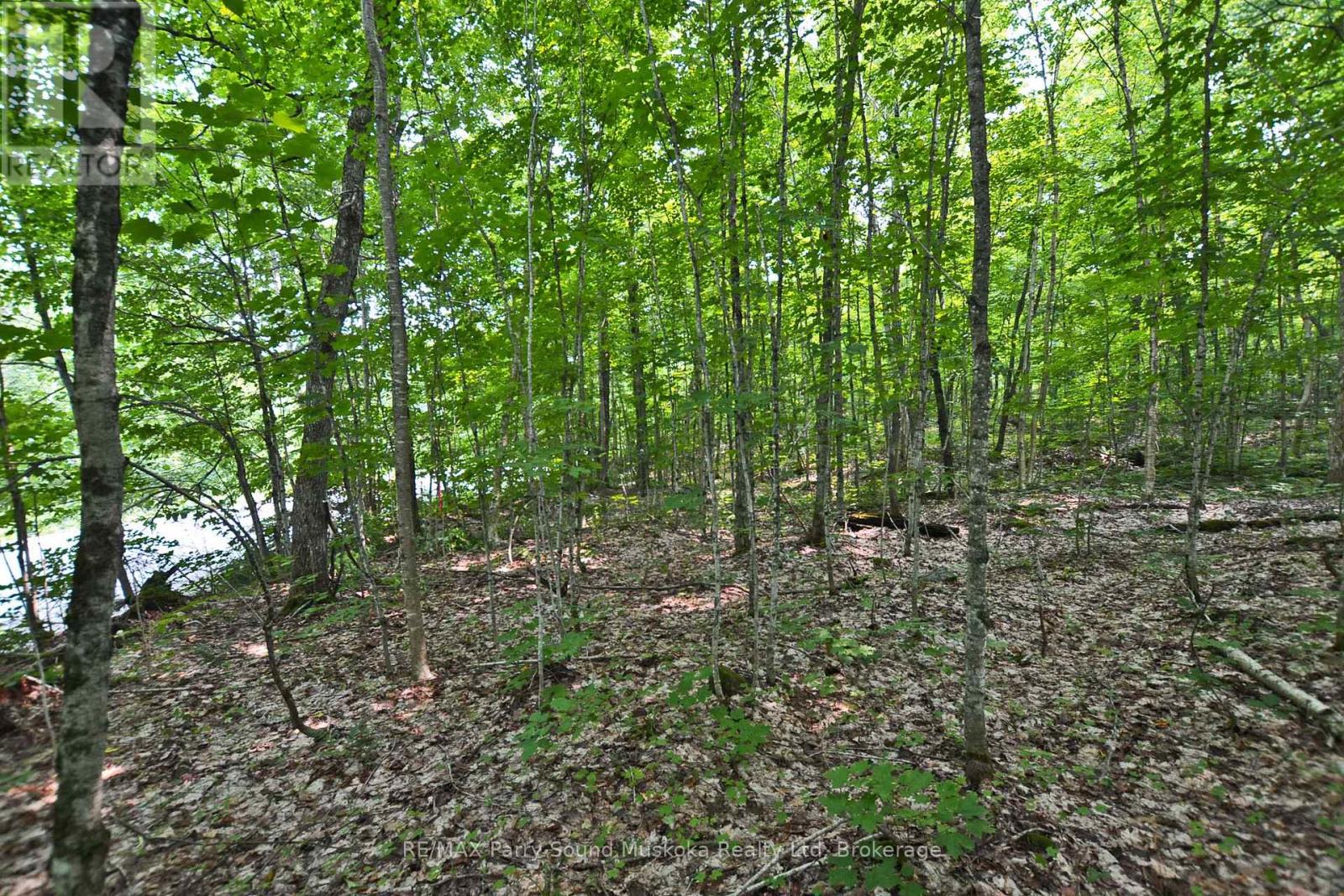 Part 2 - 0 Lyndsey Lane, Mckellar, Ontario  P2A 0B5 - Photo 14 - X12895096