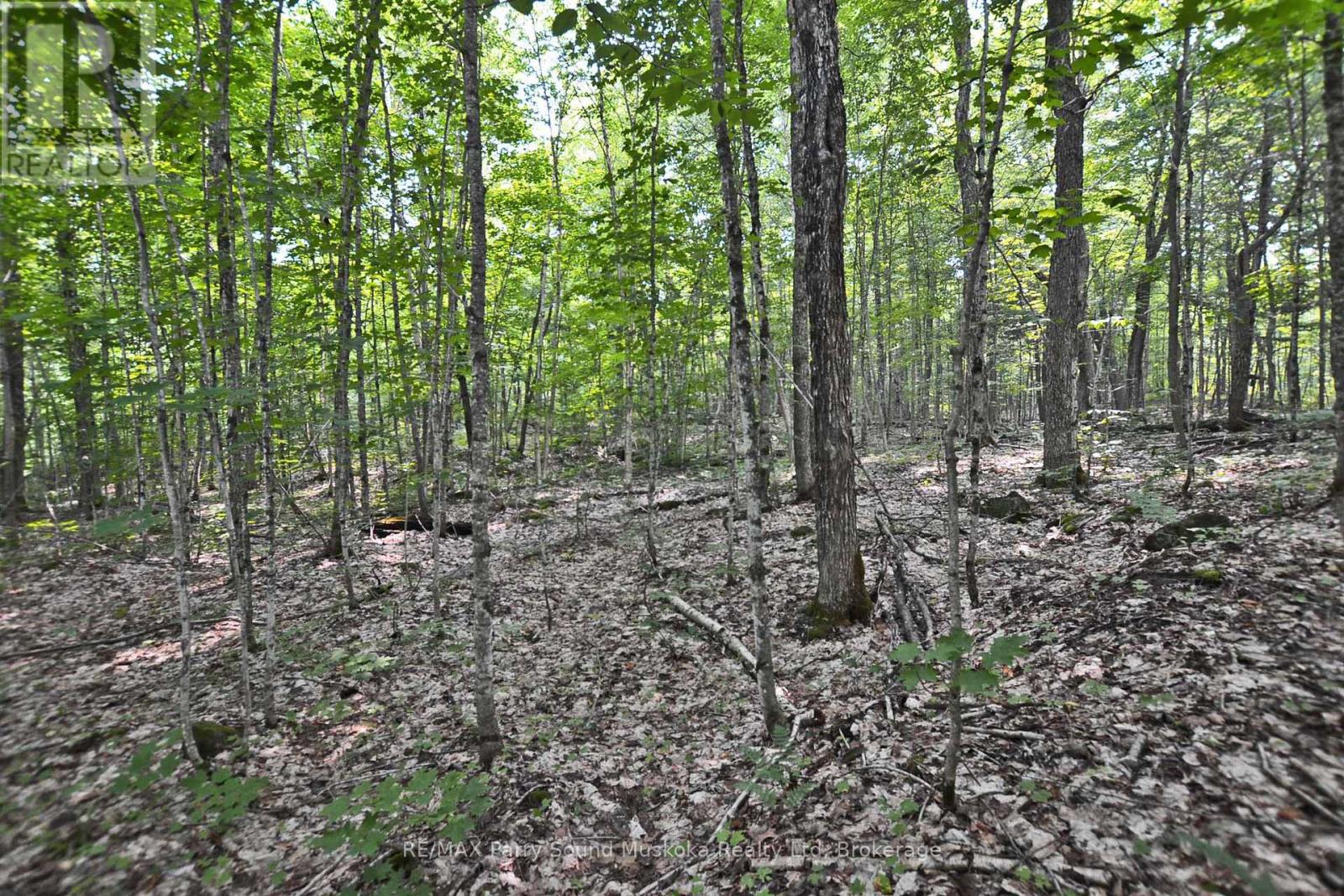 Part 2 - 0 Lyndsey Lane, Mckellar, Ontario  P2A 0B5 - Photo 15 - X12895096