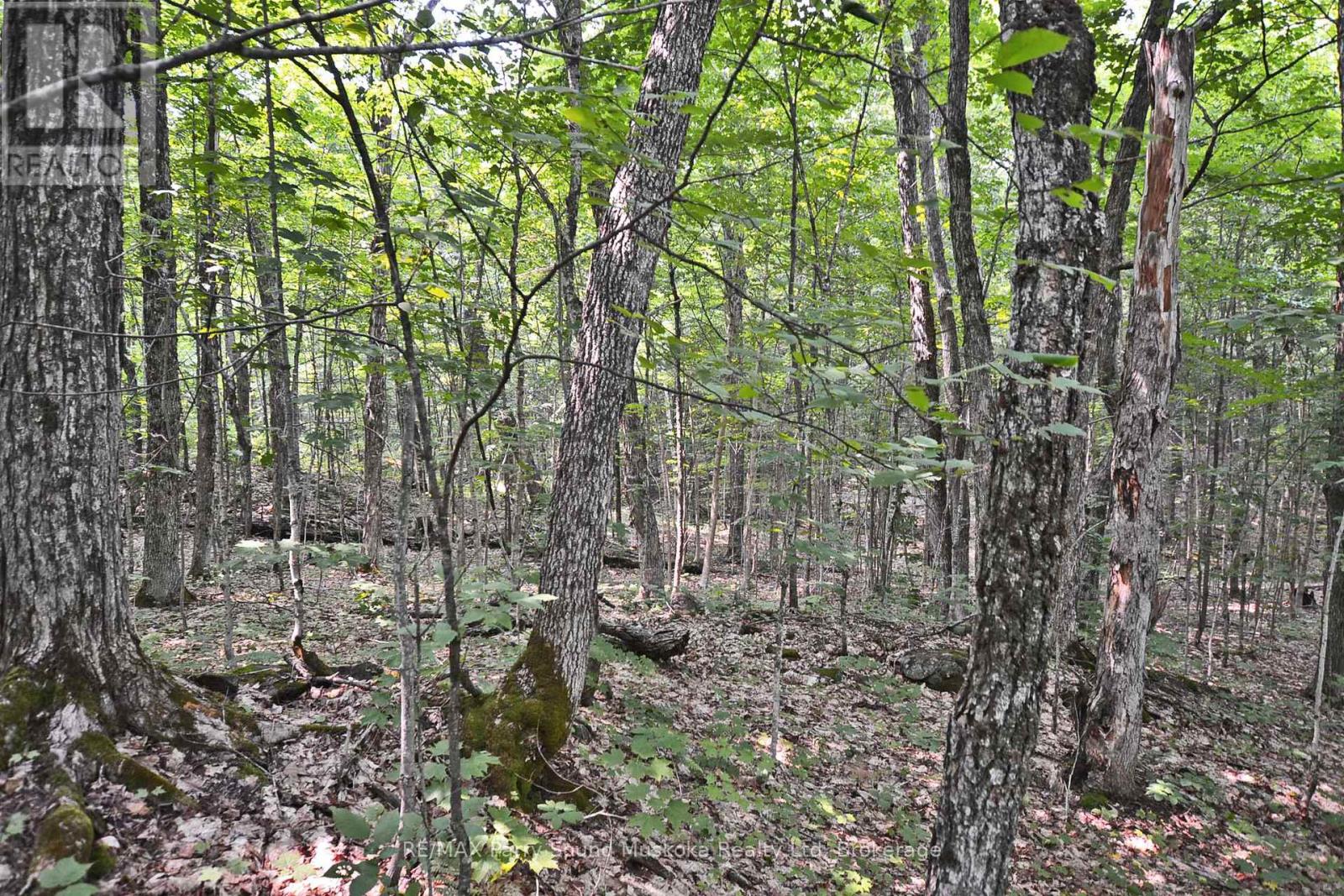 Part 2 - 0 Lyndsey Lane, Mckellar, Ontario  P2A 0B5 - Photo 17 - X12895096