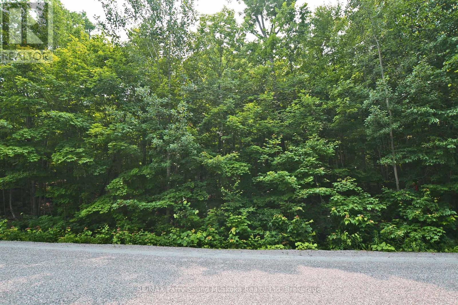 Part 2 - 0 Lyndsey Lane, Mckellar, Ontario  P2A 0B5 - Photo 7 - X12895096