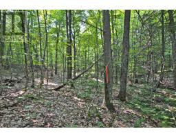 PART 2 - 0 LYNDSEY LANE, McKellar, Ontario