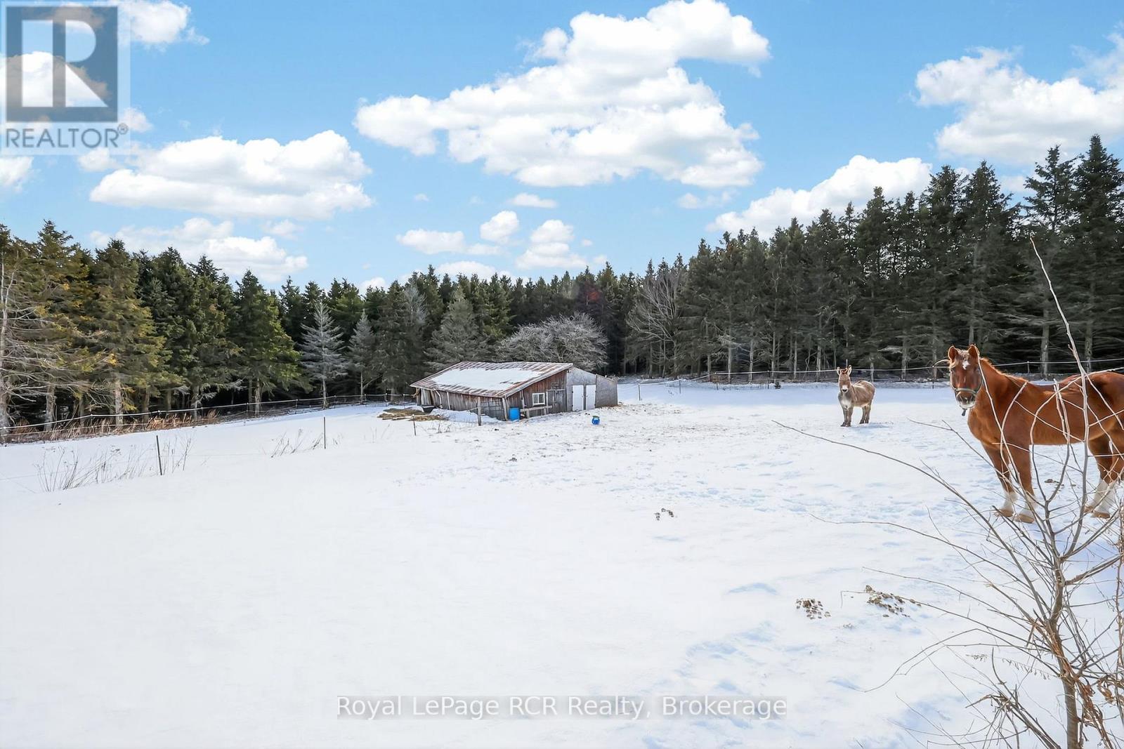 2553 County Road 42, Clearview, Ontario  L0M 1S0 - Photo 33 - S12896830