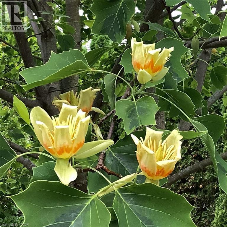 643 King Street, Niagara-On-The-Lake, Ontario  L0S 1J0 - Photo 48 - 40813428