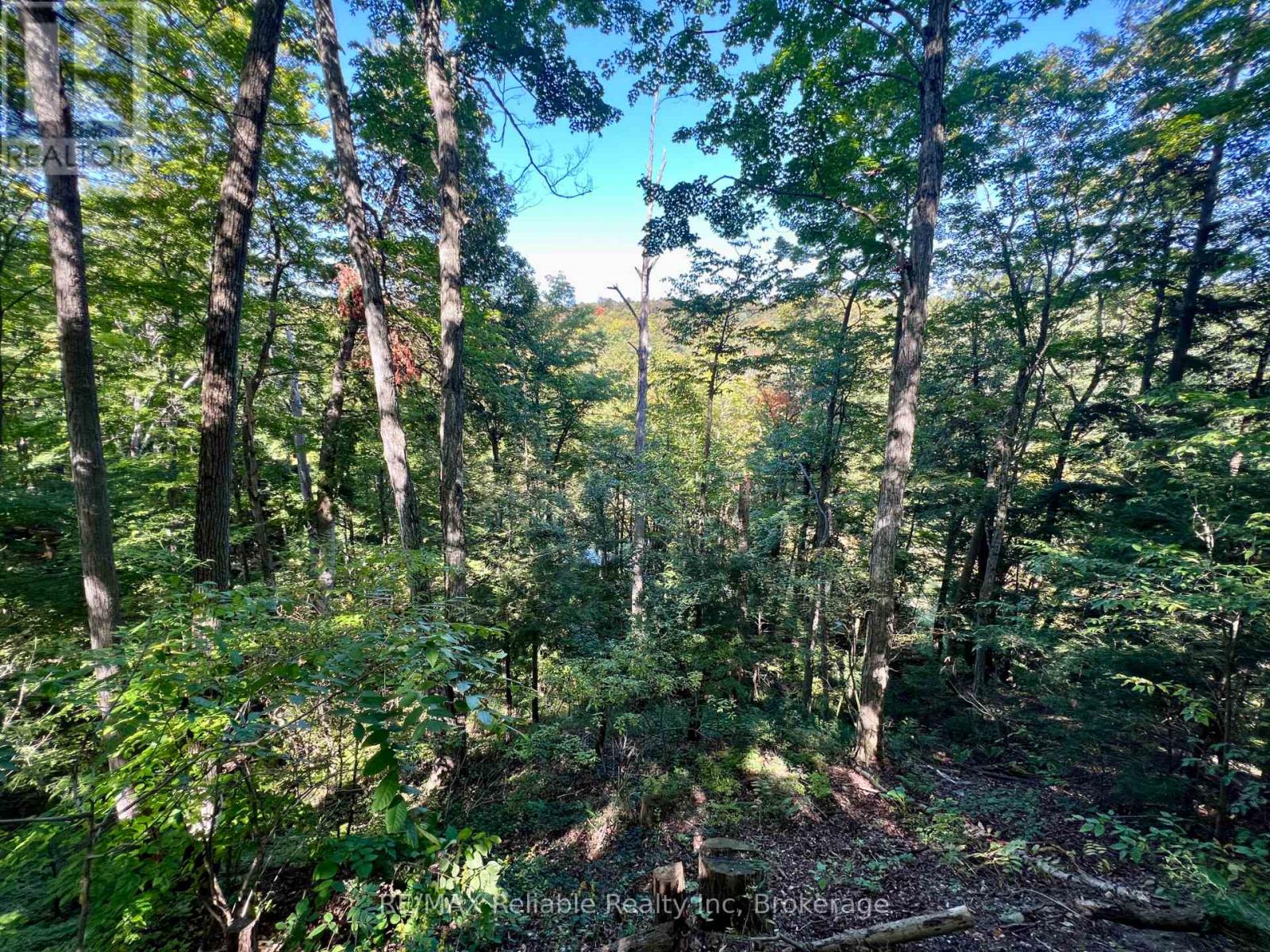 19 - 76735 Wildwood Line, Bluewater, Ontario  N0M 1G0 - Photo 41 - X12903184