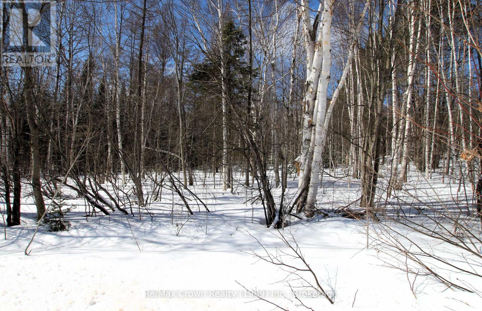 0 Alsace Road, Nipissing, Ontario  P0H 1W0 - Photo 3 - X12914490