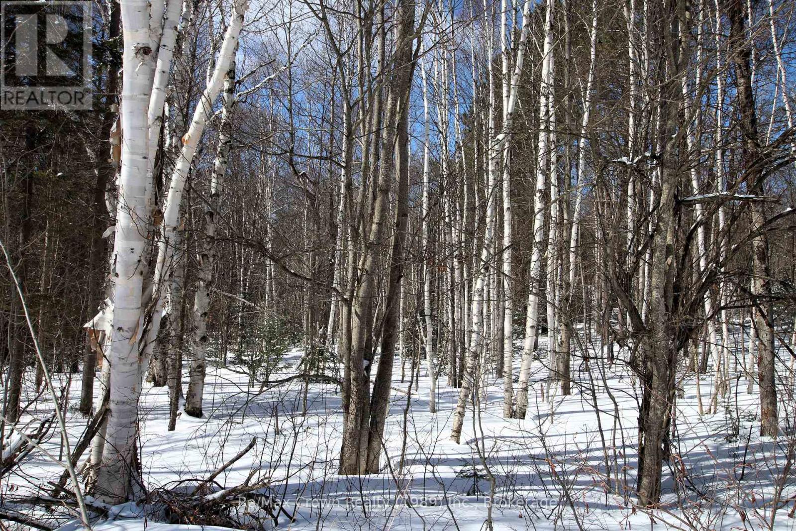 0 Alsace Road, Nipissing, Ontario  P0H 1W0 - Photo 4 - X12914490