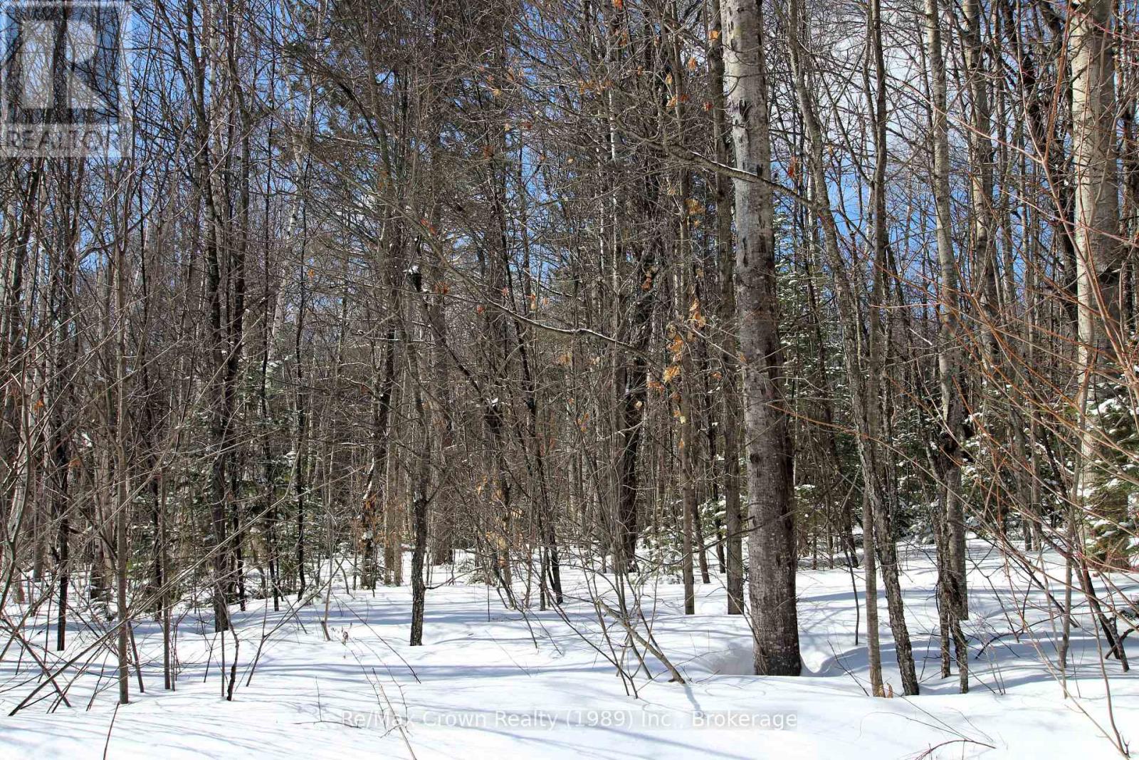 0 Alsace Road, Nipissing, Ontario  P0H 1W0 - Photo 5 - X12914490