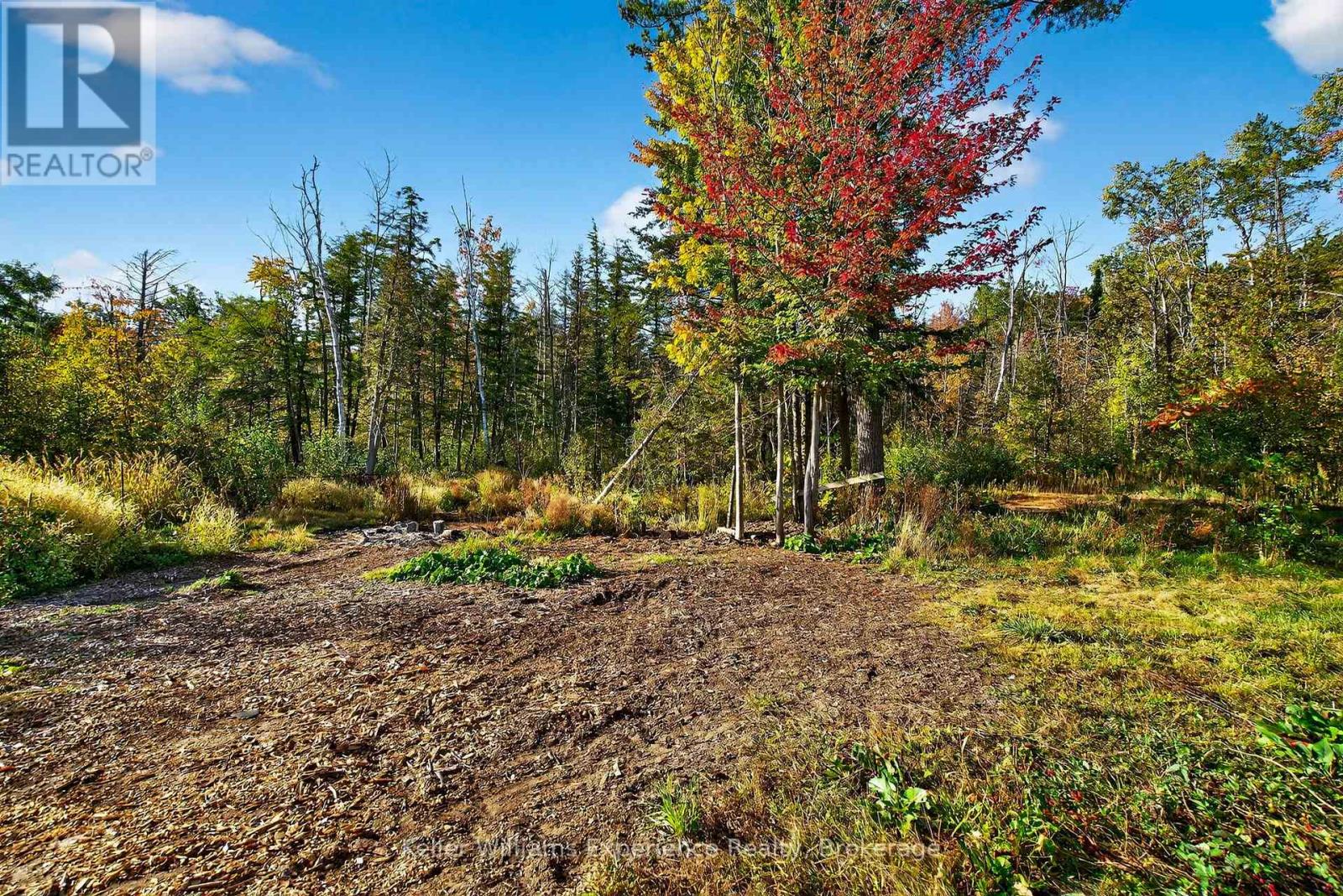 556 Champlain Road, Tiny, Ontario  L9M 0C2 - Photo 33 - S12935968