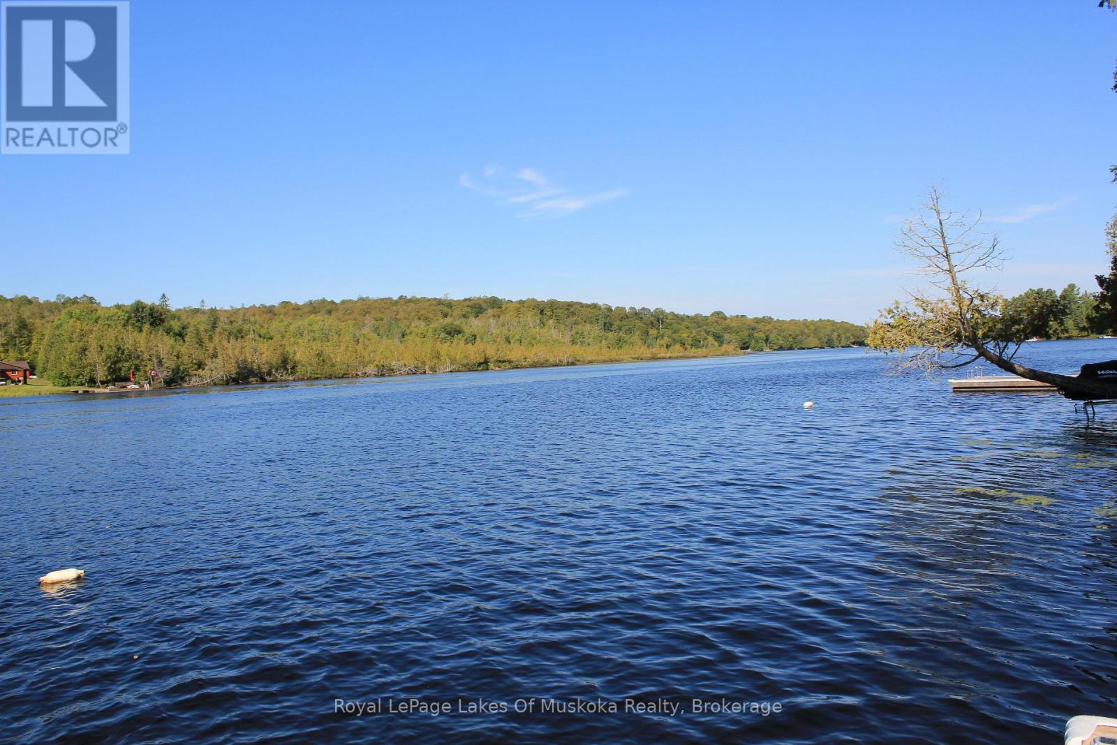 340 Wurm Road, Magnetawan, Ontario  P0A 1P0 - Photo 31 - X12938092