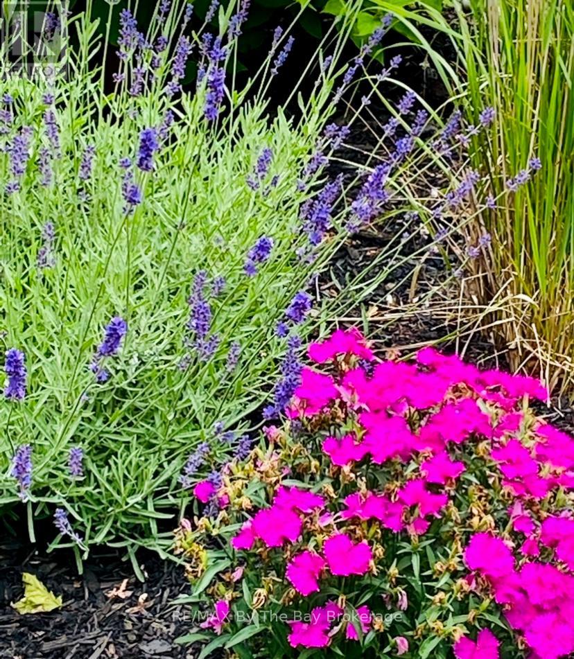 99 Lily Drive, Wasaga Beach, Ontario  L9Z 2Z2 - Photo 25 - S12938126