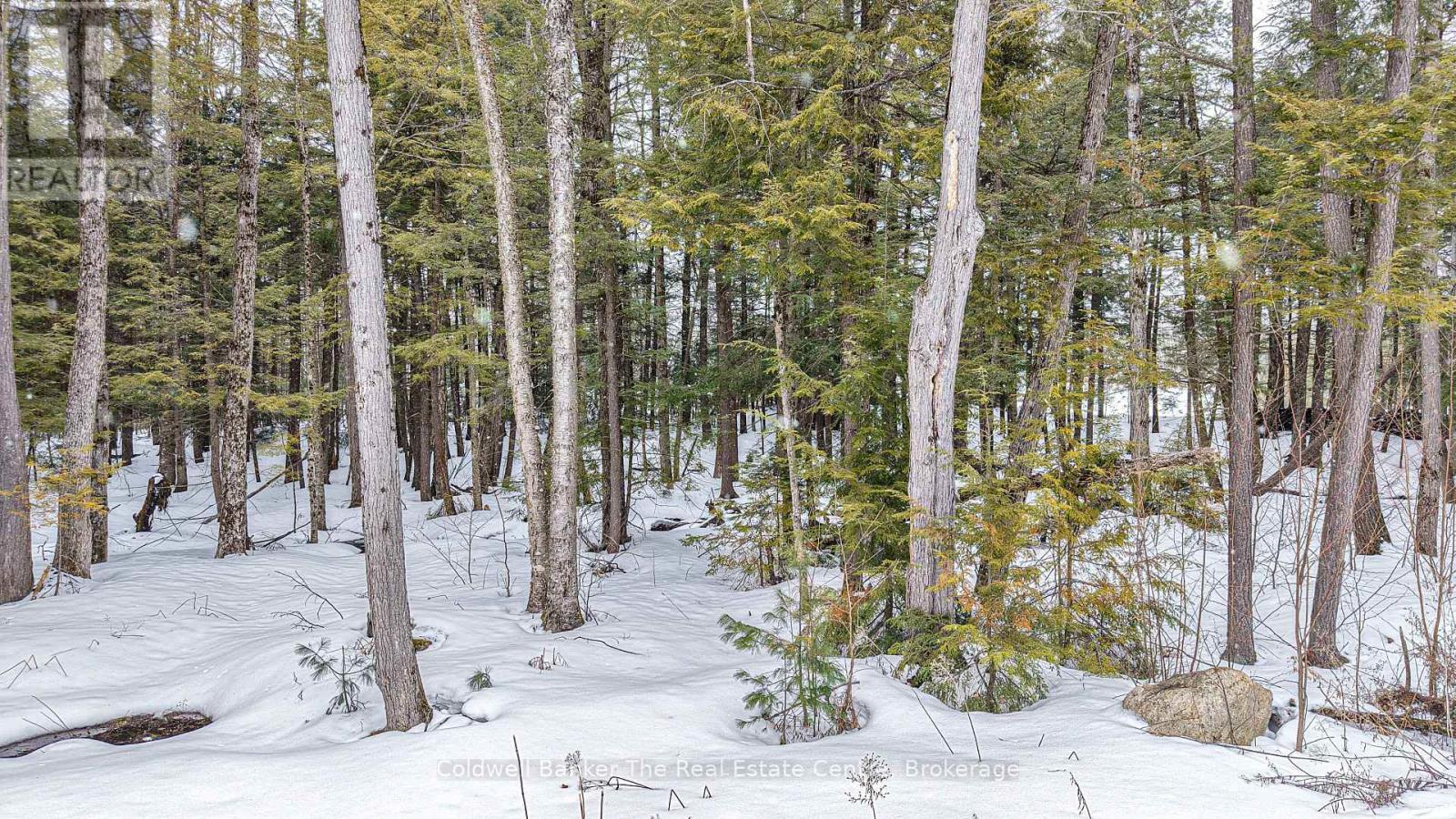 1080 Kilworthy Road, Gravenhurst, Ontario  P0E 1G0 - Photo 47 - X12938176