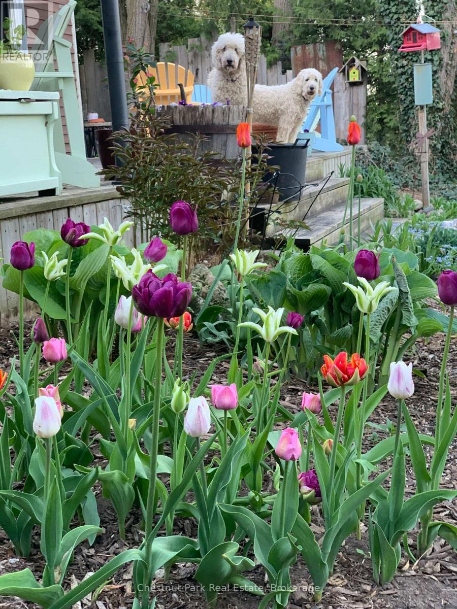 114 Clark Street, Blue Mountains, Ontario  N0H 1J0 - Photo 4 - X12938276