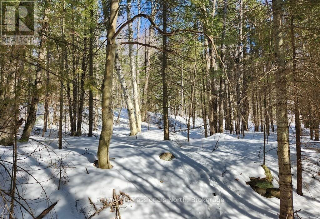 0 Poverty Bay Trail, Minden Hills, Ontario  K0M 2K0 - Photo 10 - X12940510