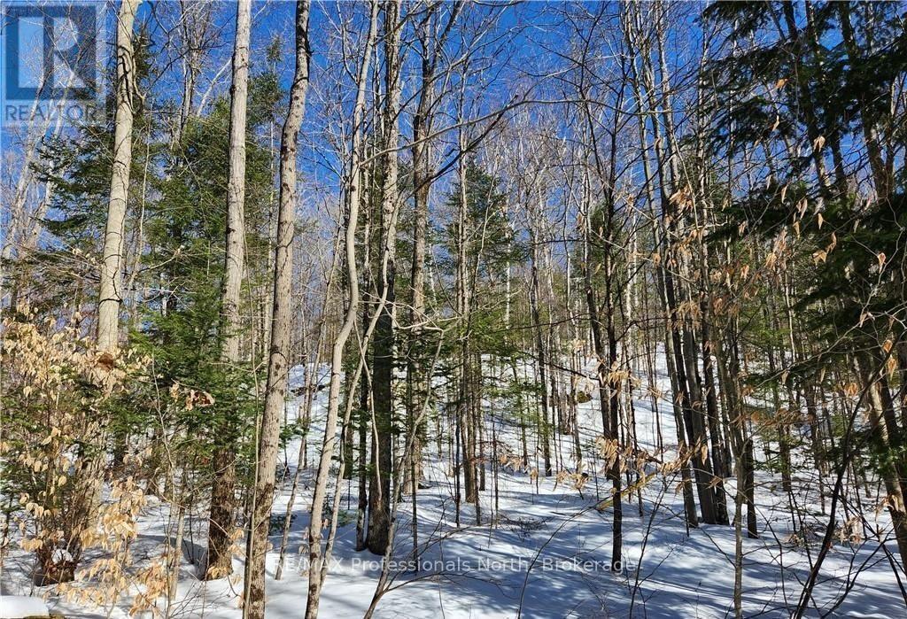 0 Poverty Bay Trail, Minden Hills, Ontario  K0M 2K0 - Photo 11 - X12940510