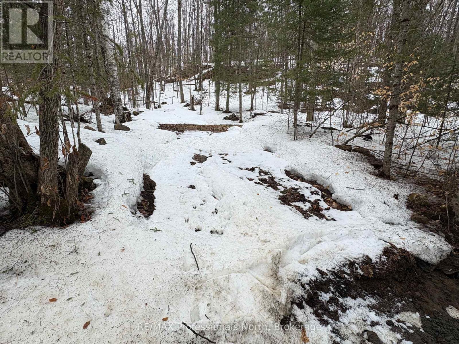 0 Poverty Bay Trail, Minden Hills, Ontario  K0M 2K0 - Photo 17 - X12940510