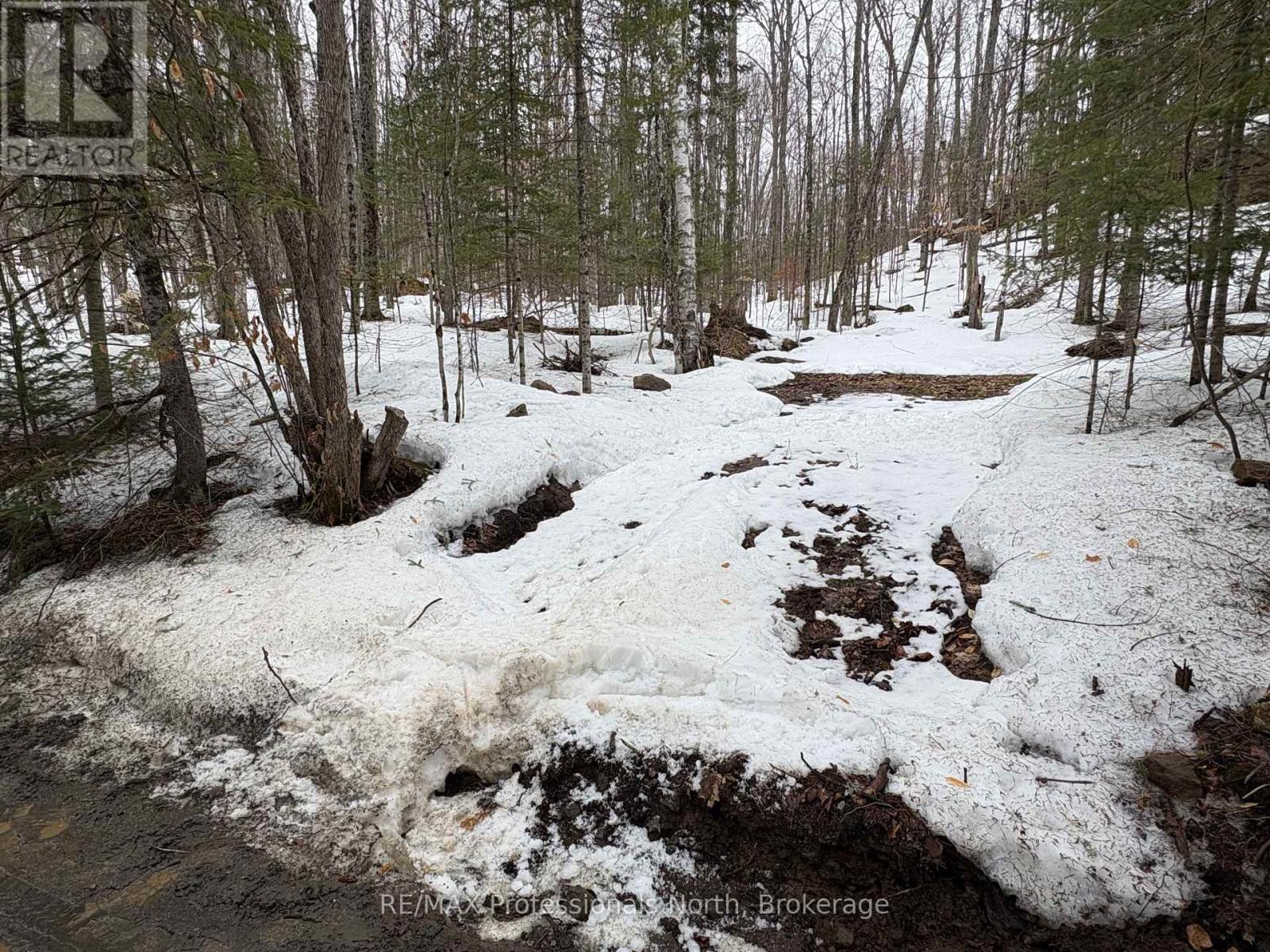 0 Poverty Bay Trail, Minden Hills, Ontario  K0M 2K0 - Photo 18 - X12940510