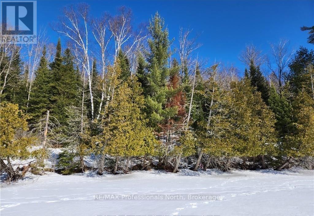 0 Poverty Bay Trail, Minden Hills, Ontario  K0M 2K0 - Photo 5 - X12940510