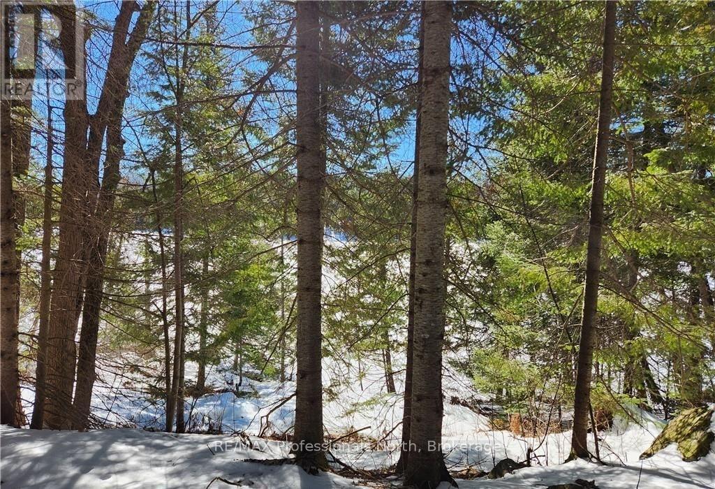 0 Poverty Bay Trail, Minden Hills, Ontario  K0M 2K0 - Photo 6 - X12940510