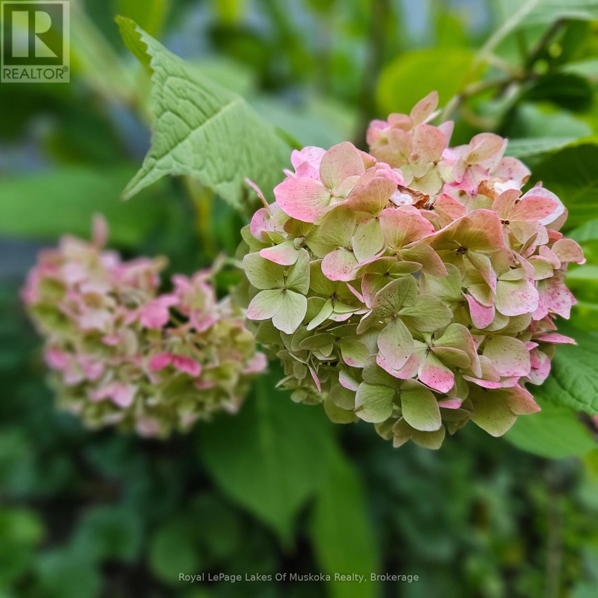 16 Rogers Road, Huntsville, Ontario  P1H 1T1 - Photo 30 - X12942296