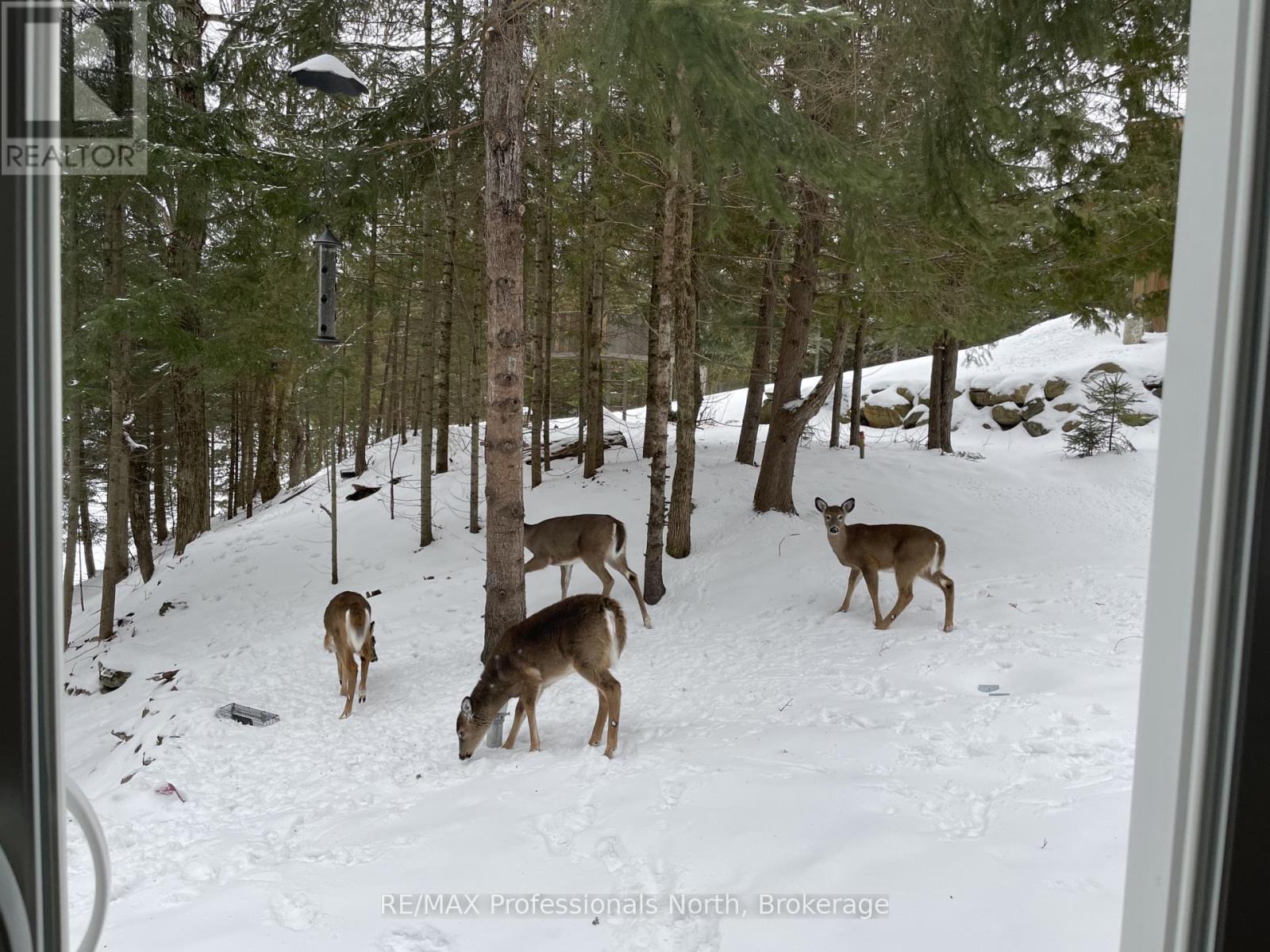 1005 Osgoode Road, Minden Hills, Ontario  K0M 2K0 - Photo 45 - X12942648