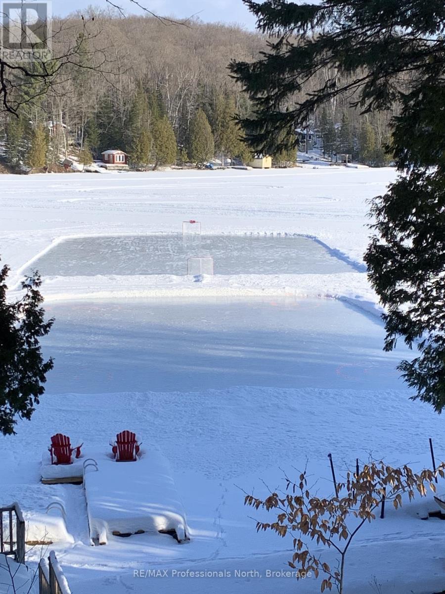 1005 Osgoode Road, Minden Hills, Ontario  K0M 2K0 - Photo 47 - X12942648