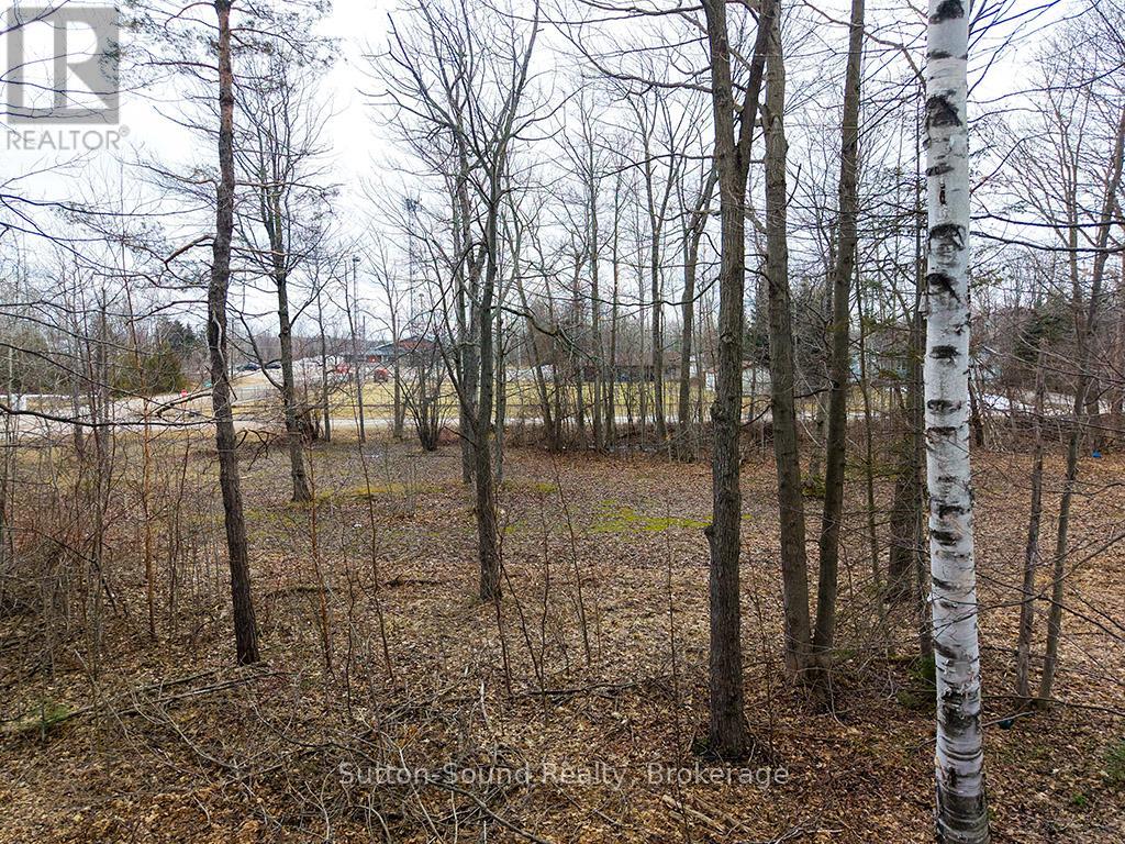 660 Main Street, South Bruce Peninsula, Ontario  N0H 2T0 - Photo 34 - X12942914