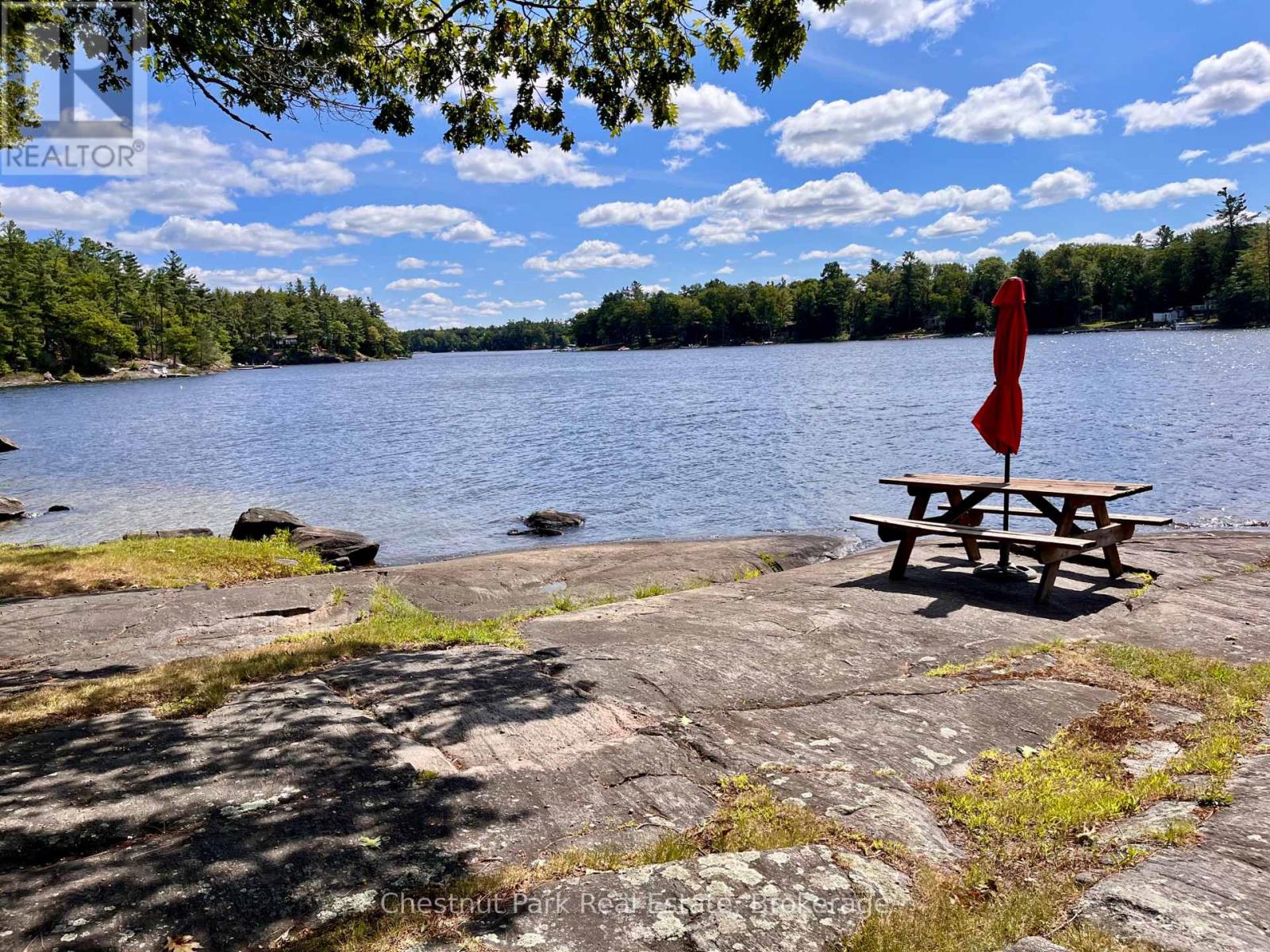 1119 Trafalgar Bay Road W, Muskoka Lakes, Ontario  P0C 1A0 - Photo 5 - X12943236