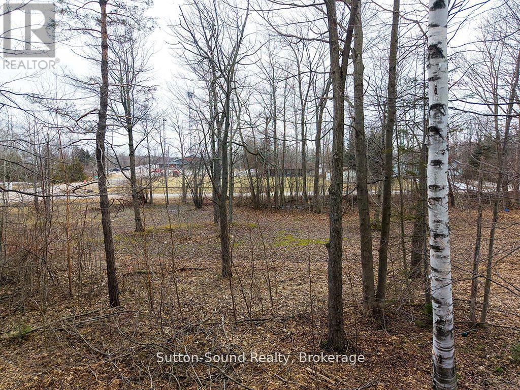 660 Main Street, South Bruce Peninsula, Ontario  N0H 2T0 - Photo 32 - X12943646