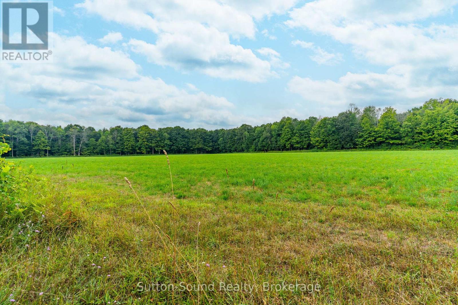 Pt Lt 35-36 Centre Diagonal Road, South Bruce Peninsula, Ontario  N0H 2T0 - Photo 4 - X12945904