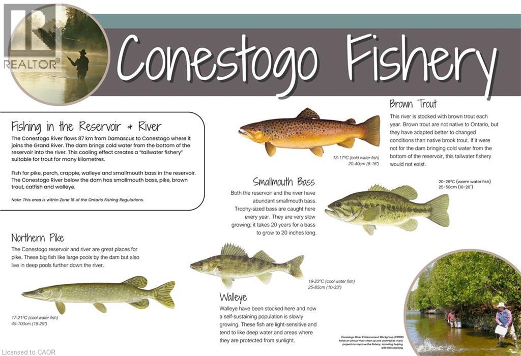 129 Road 100, Conestogo Lake, Ontario  N0G 1P0 - Photo 14 - 40816908