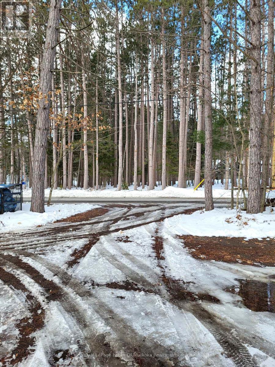 Lower Level - 273 Skyhills Road, Huntsville, Ontario  P1H 2J2 - Photo 12 - X12947050