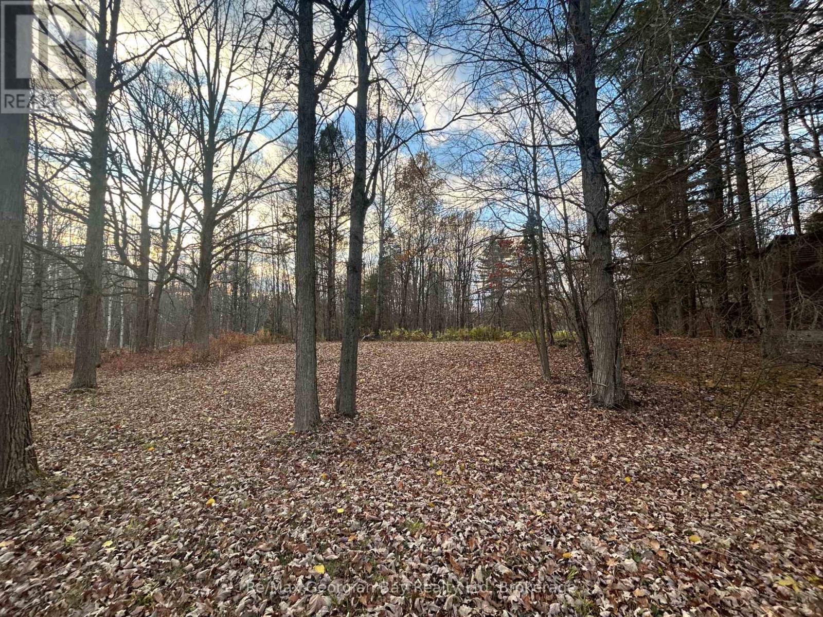 1666 Balkwill Line, Severn, Ontario  L0K 1E0 - Photo 15 - S12952066