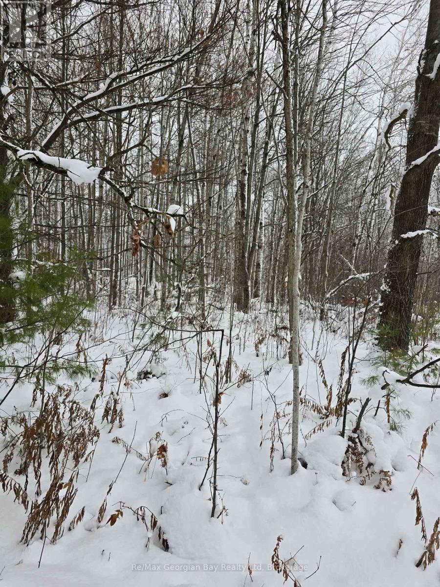 1666 Balkwill Line, Severn, Ontario  L0K 1E0 - Photo 32 - S12952066