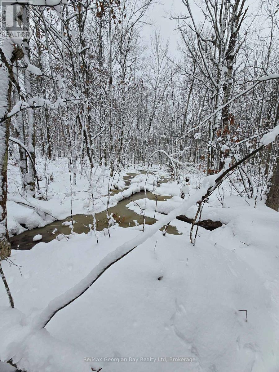 1666 Balkwill Line, Severn, Ontario  L0K 1E0 - Photo 34 - S12952066