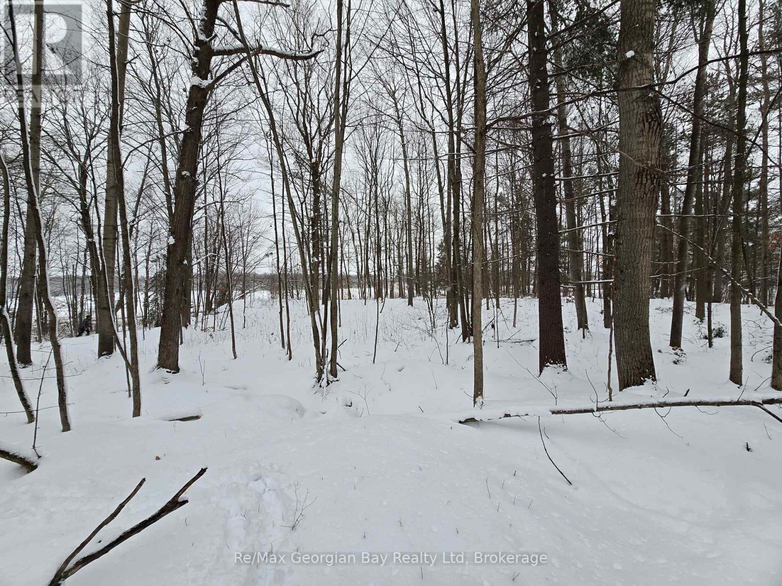 1666 Balkwill Line, Severn, Ontario  L0K 1E0 - Photo 37 - S12952066