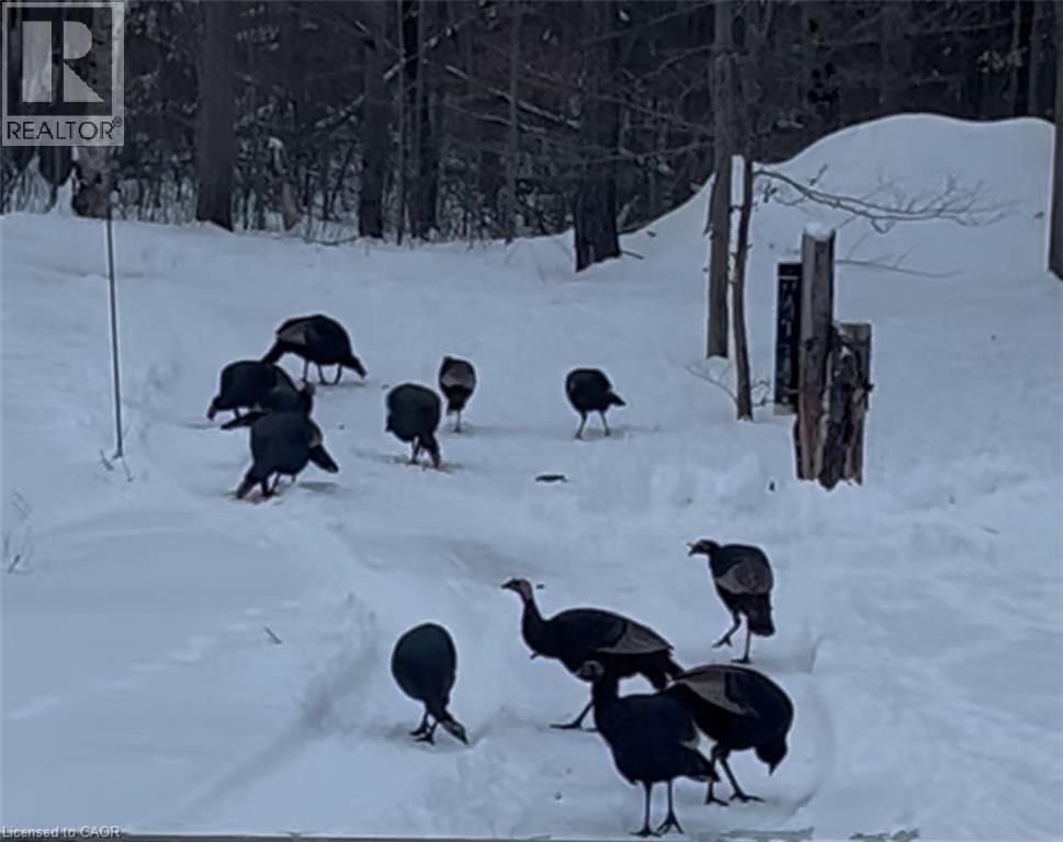 352 Moulton-Aiken Road, Dunnville, Ontario  N1A 2W5 - Photo 48 - 40816923