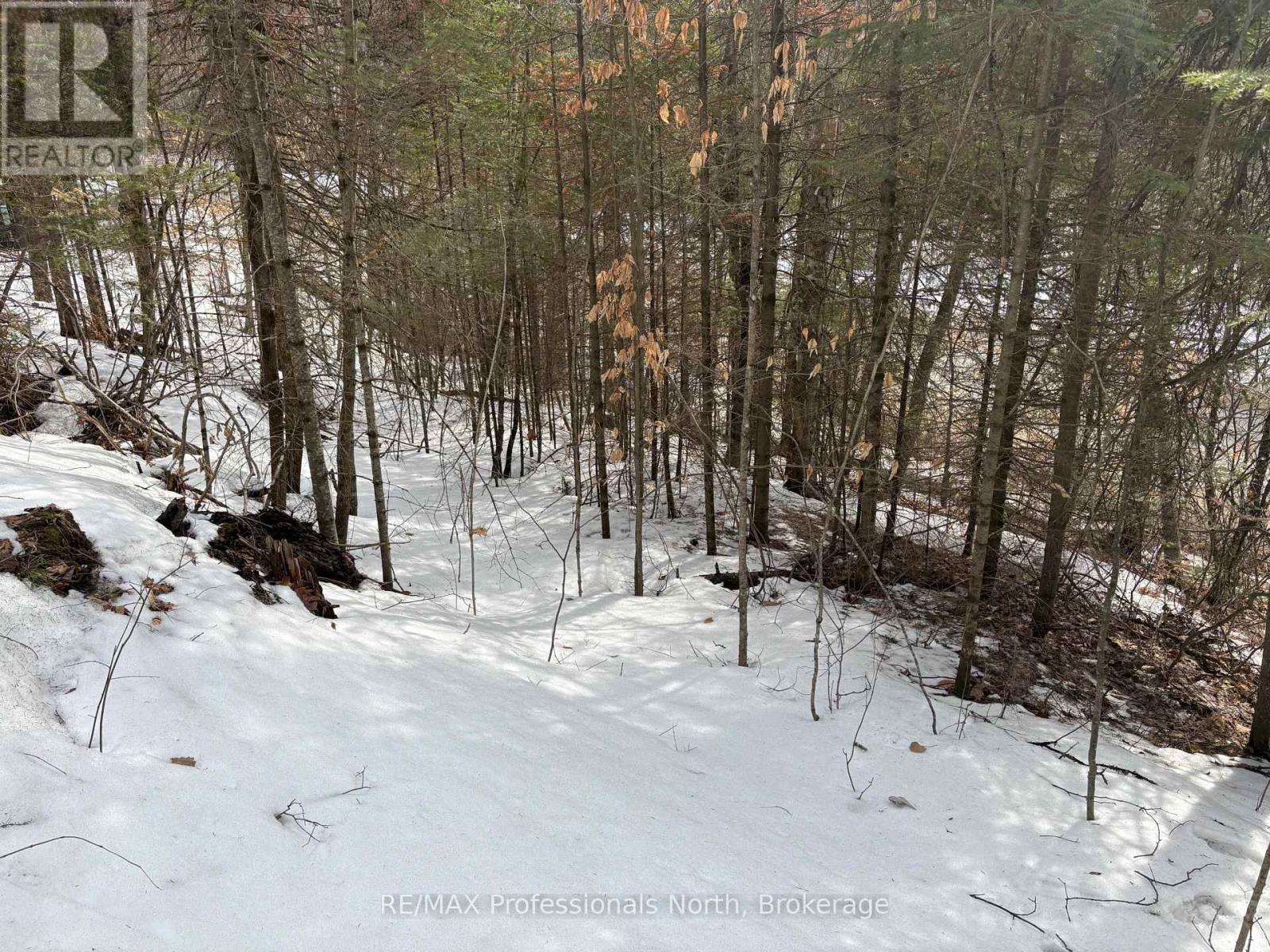 0 Trapper's Trail Road, Dysart Et Al, Ontario  K0M 1S0 - Photo 11 - X12953098