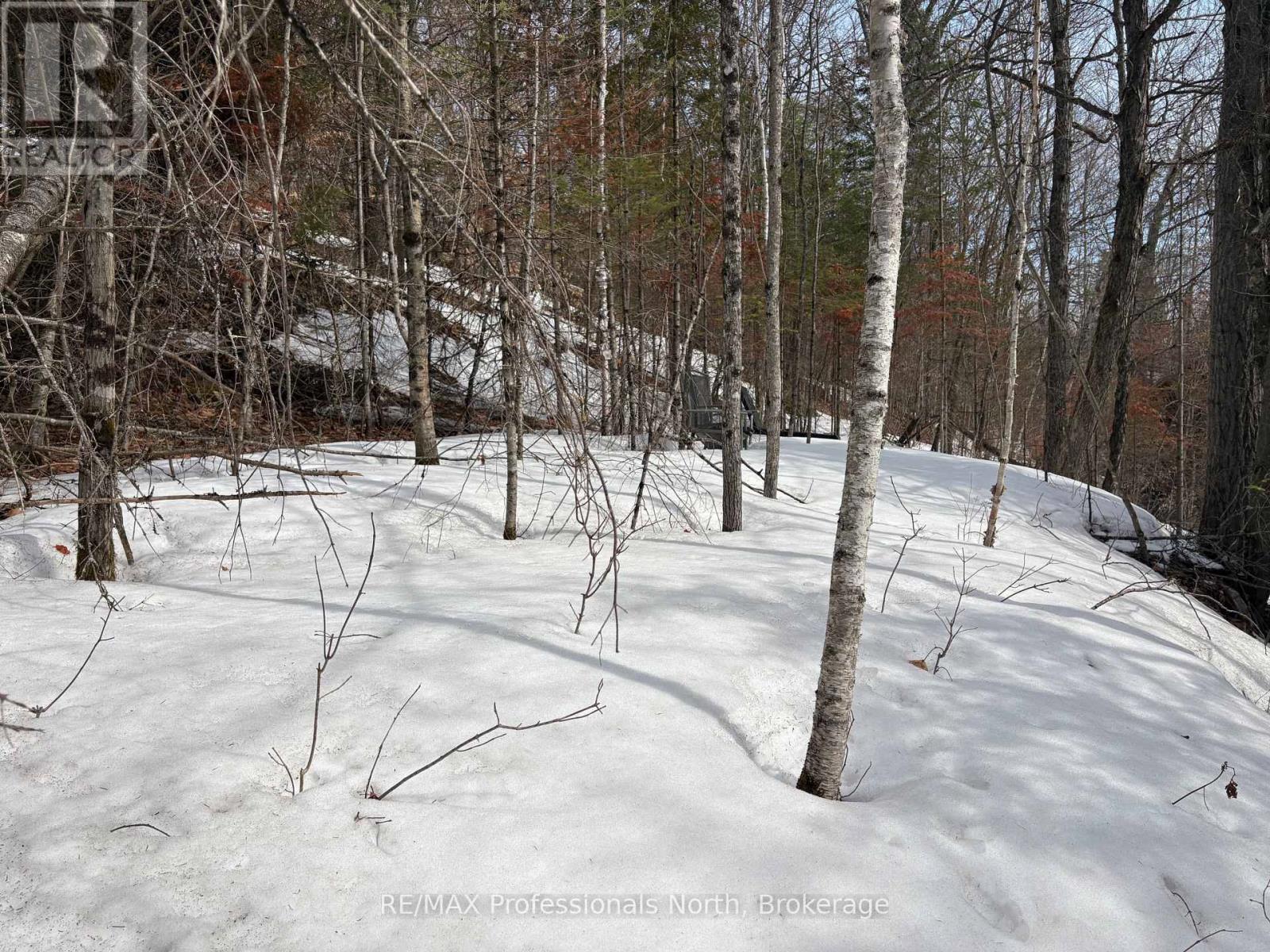 0 Trapper's Trail Road, Dysart Et Al, Ontario  K0M 1S0 - Photo 12 - X12953098