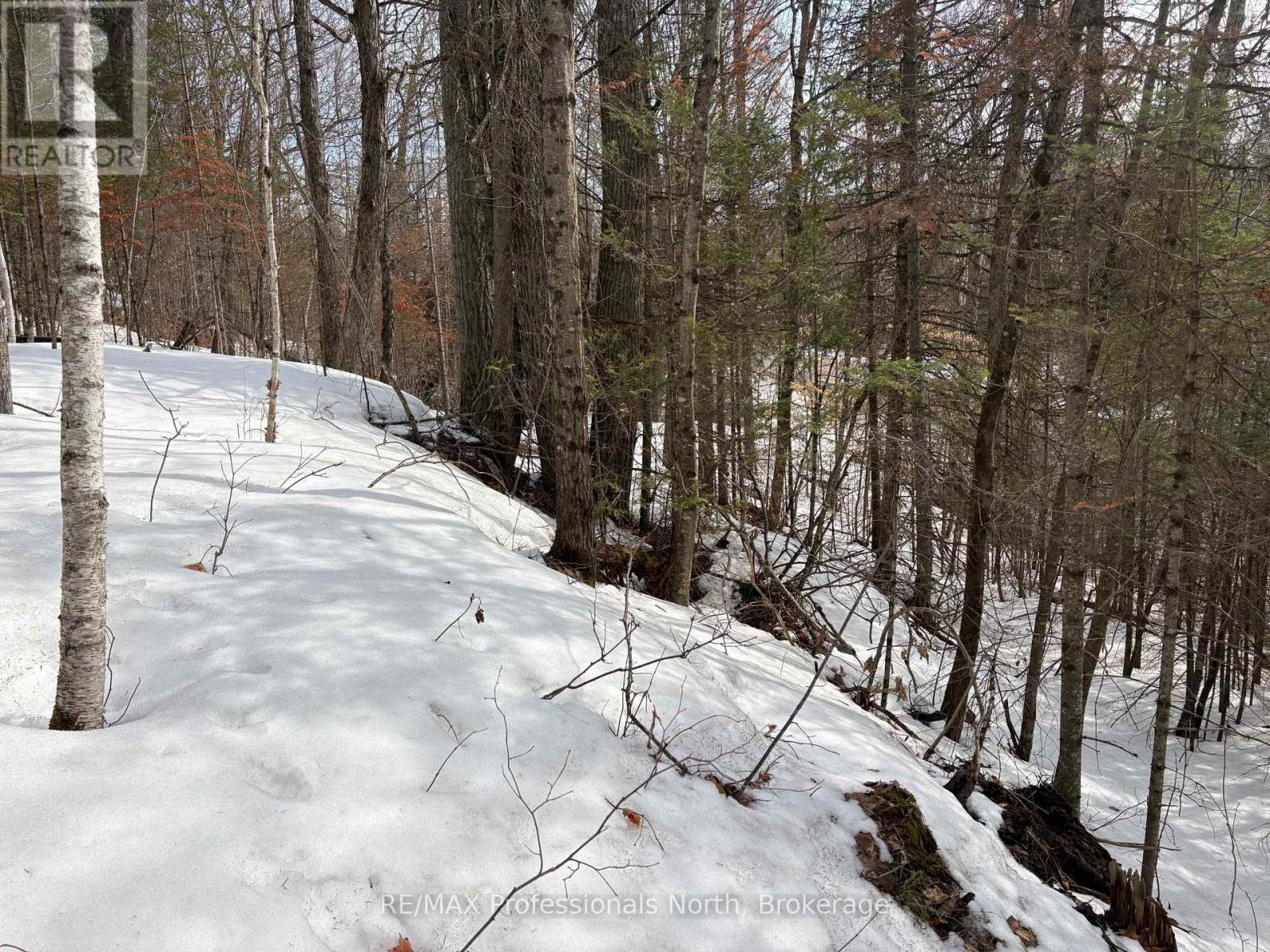 0 Trapper's Trail Road, Dysart Et Al, Ontario  K0M 1S0 - Photo 13 - X12953098